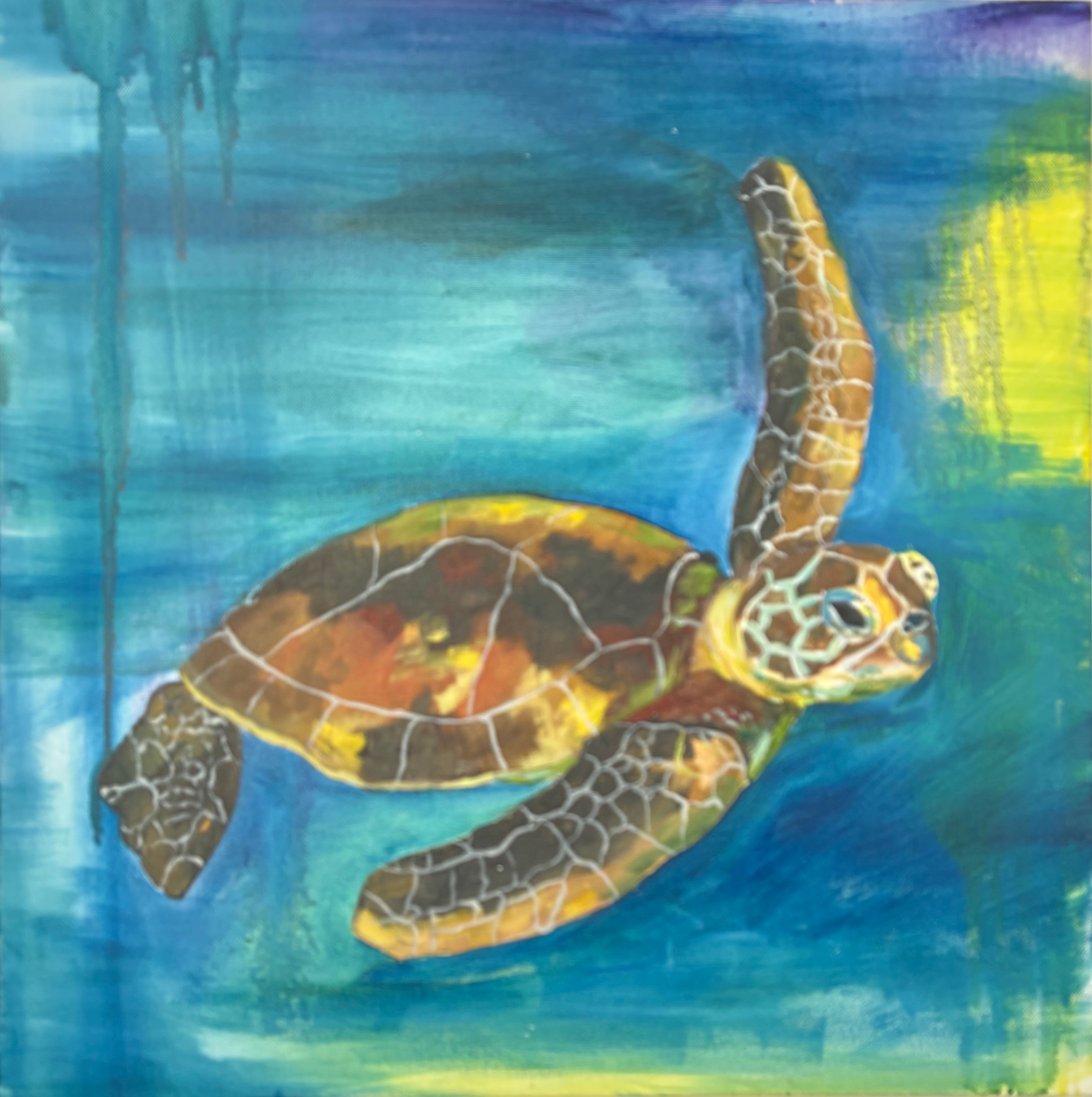 Original Sea Turtle Oil Painting (20” x 20”) Shipping Included
